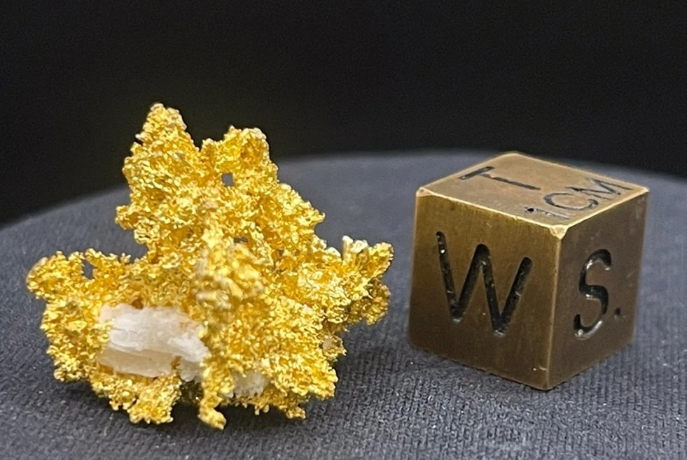 Gold auf Quarz – Naturgold-Stufe mit Größenmaßstab