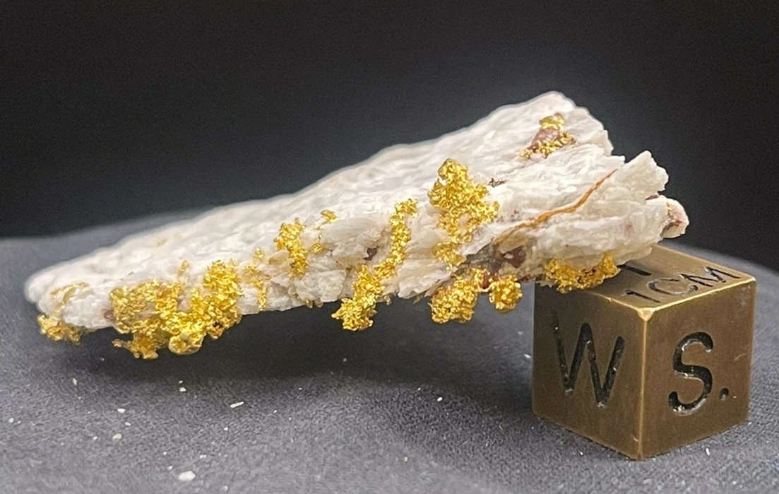 Gold auf Quarz – gediegenes Gold auf weißem Quarz mit Größenmaßstab