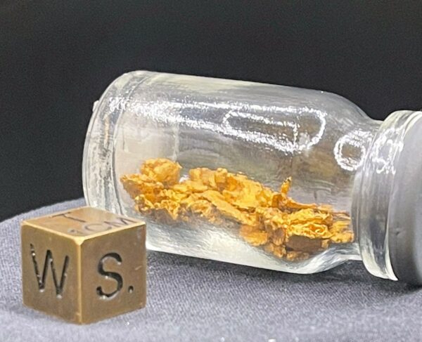 Gold Nugget